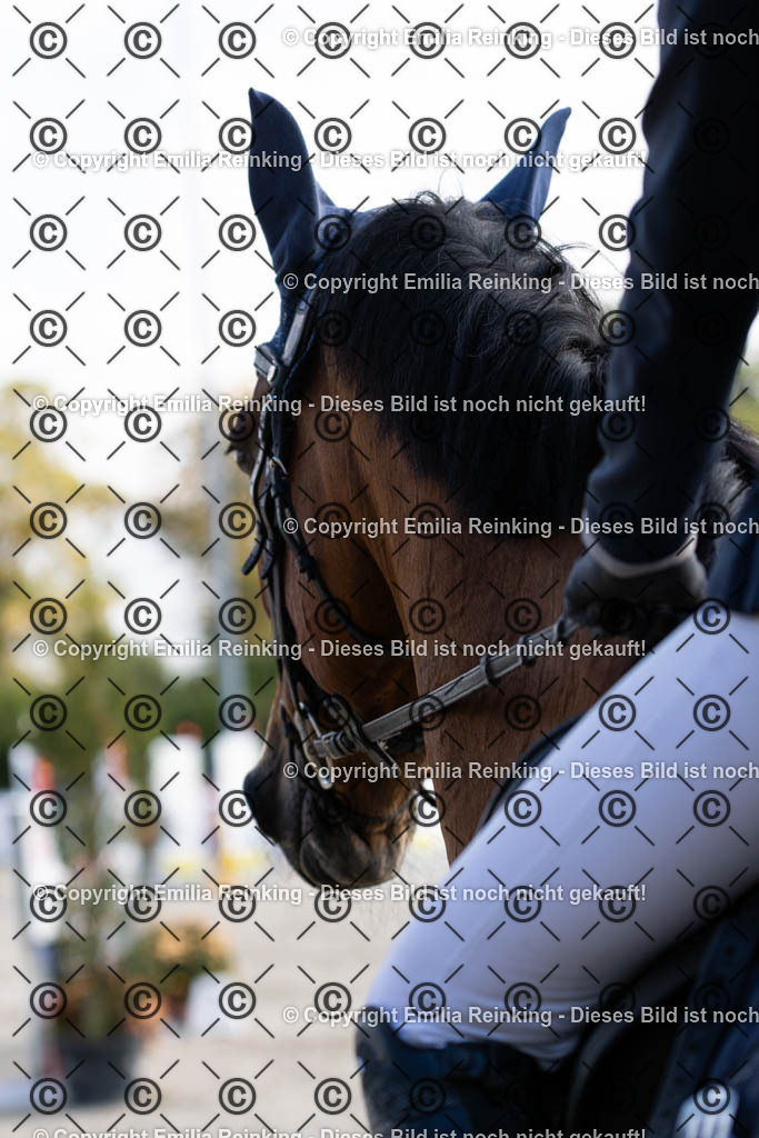 CL5A3514 | Emilia Reinking Fotografie - Realisiert mit Pictrs.com