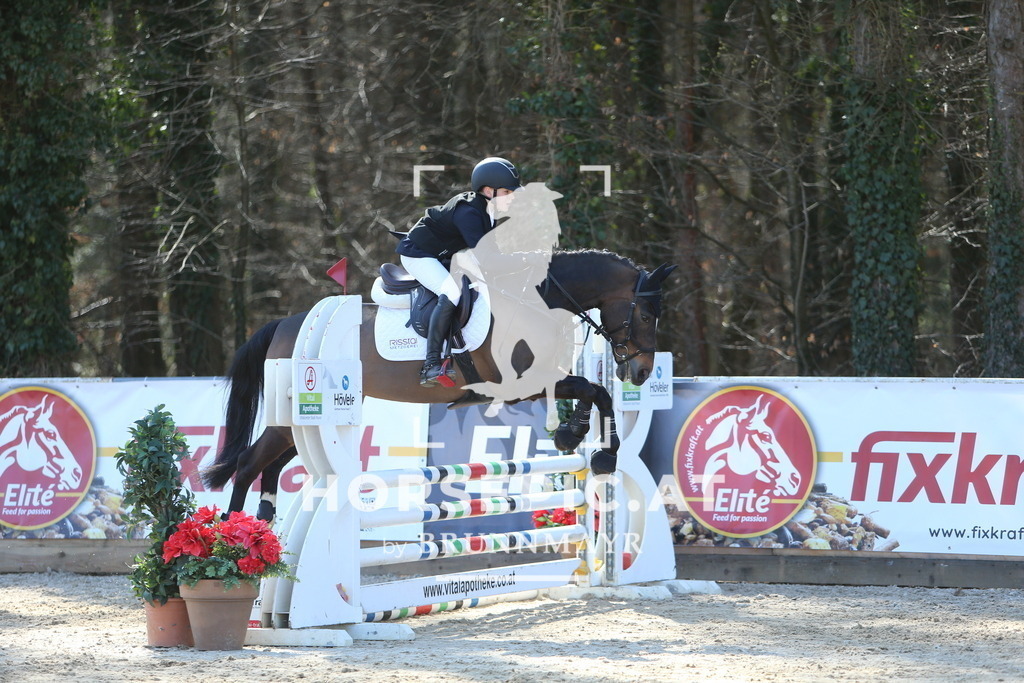 DL2Q2746 | Willkommen bei Brunnmayr - Design & Fotografie – Ihrem Spezialisten für Reitturniere und Pferdeveranstaltungen in Oberösterreich, Salzburg und Bayern! Seit über 17 Jahren sind wir leidenschaftlich dabei.