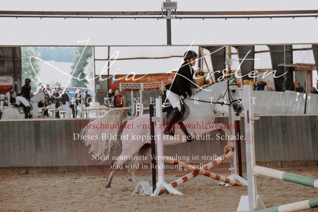 DSC_7422 | Pferde- und Turnierfotografie in Westsachsen. Pferdeportraits, Auftragszeichnungen und intuitive Kunst.