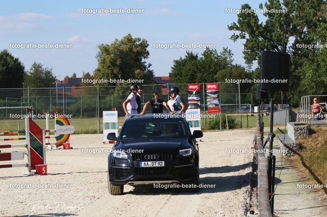 OHT 2022 Röhlingen (44) | Fotografie, Tiere, Hunde, Katzen, Pferde, Sportfotografie, Fotosession, Tierfotografie, Turnierfotografie, Fotografin, Fotograf - Realisiert mit Pictrs.com