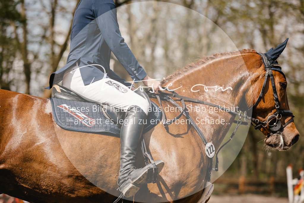 3I6A4308 | Stimmungsvolle Portraits und Reitsportfotografie im Ruhrgebiet und im Münsterland.

Pferdefotografie, Hundefotografie, Tierfotografie, Reportagen, Portraits von Tier und Mensch, Turnierfotografie in Bochum, Recklinghausen, Marl, Haltern am See, Dülmen.. - Realisiert mit Pictrs.com