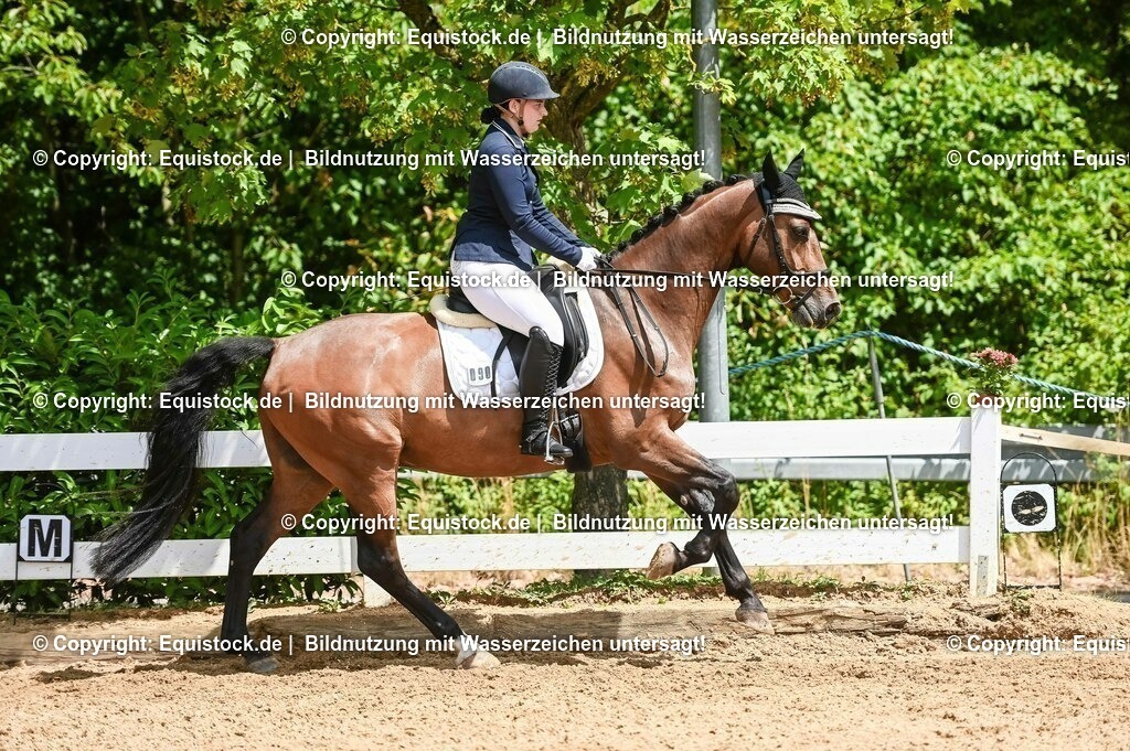 20230716_03_Dressurprfg. Kl.L - Tr._0687 | equistock
