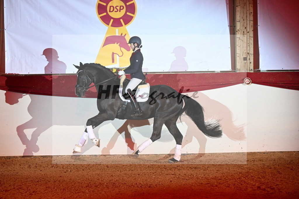 Boccacio_Fiedler_3262147 | hf-fotografie - Realisiert mit Pictrs.com