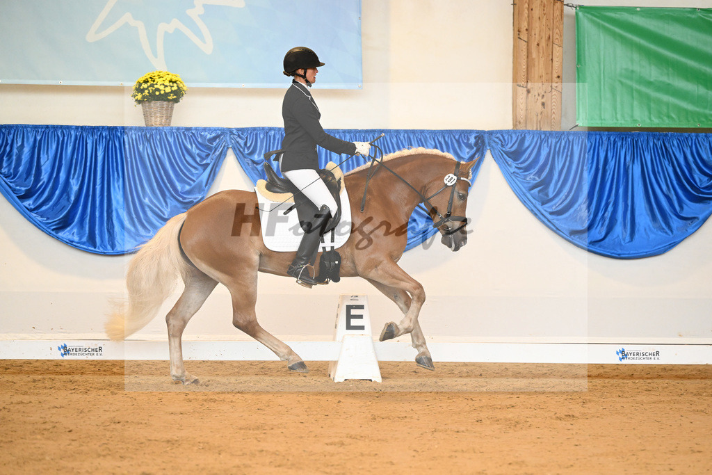 Kat-Nr. 297 Gwindi_Scharmann_54221823 | hf-fotografie - Realisiert mit Pictrs.com