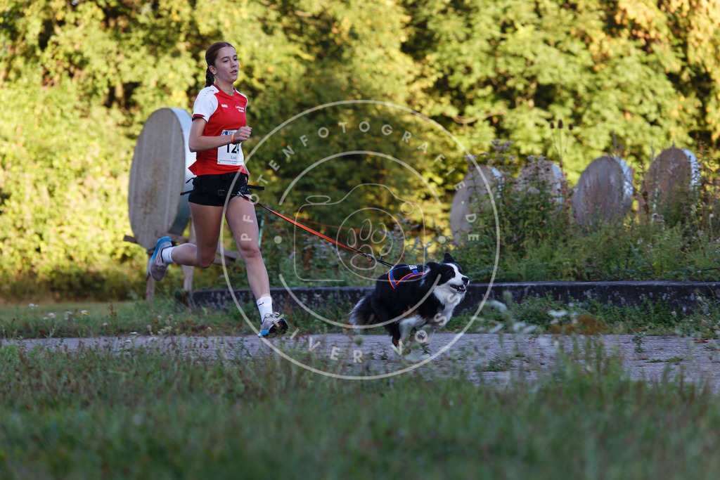 0L8A4415 | Hundefotografie, Tierfotograf, Pfotenfotografie, Fotoshooting Hund, Hunde Portrait, Hundesport, Hundeportraits, Heideshooting, Hunde, Sportfotograf, Hundefotograf, Turnierhundsport, THS,  - Realisiert mit Pictrs.com