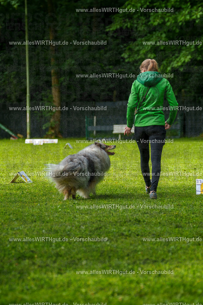 @allesWIRTHgut_Tierfotografie - www.allesWIRTHgut.de - 7R502151 | Professionelle Tierfotografie in Mönchengladbach von Daniel Wirth (allesWIRTHgut). Liebevolle & natürliche Bilder von Hunden & Katzen für unvergessliche Erinnerungen.