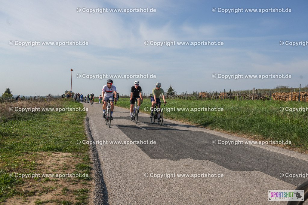 007A9043 | Neusiedlersee Radmarathon #neusiedlerseeradmarathon #neusiedlersee #nrm26 #yourpictrs #sportshot_your_pictrs
