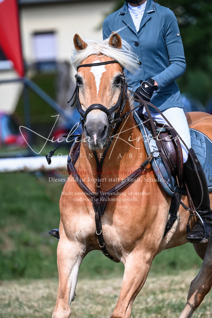 DSC_7937 | Pferde- und Turnierfotografie in Westsachsen. Pferdeportraits, Auftragszeichnungen und intuitive Kunst.