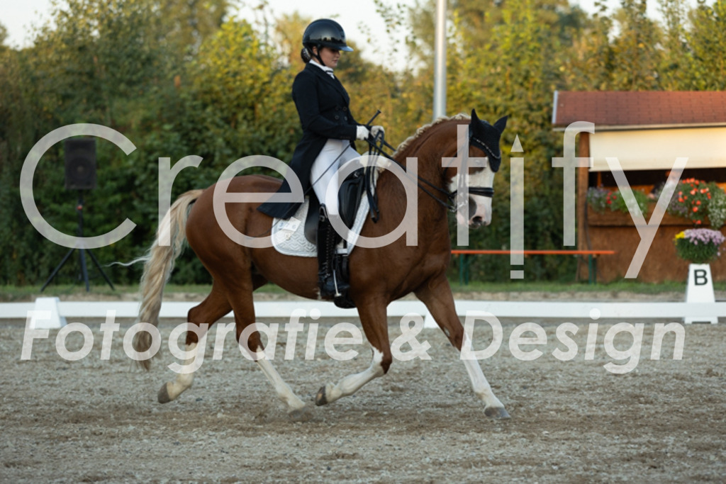 IMG_7590 | Creatify Fotografie