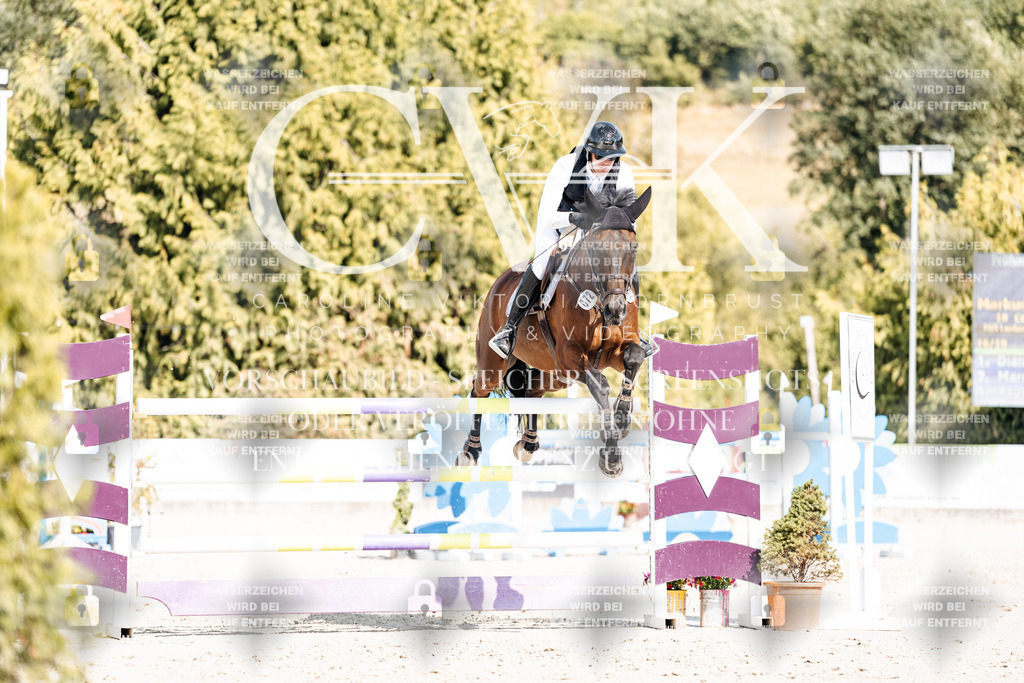 CK909088 | Turnierfotografie Pferdefotografie Trier Rheinland-Pfalz Pferdesport Reitsport Tierfotografie Sportfotografie Pferdevideo Pferdevideografie Equestrianvideography equestrianphotography  - Realisiert mit Pictrs.com