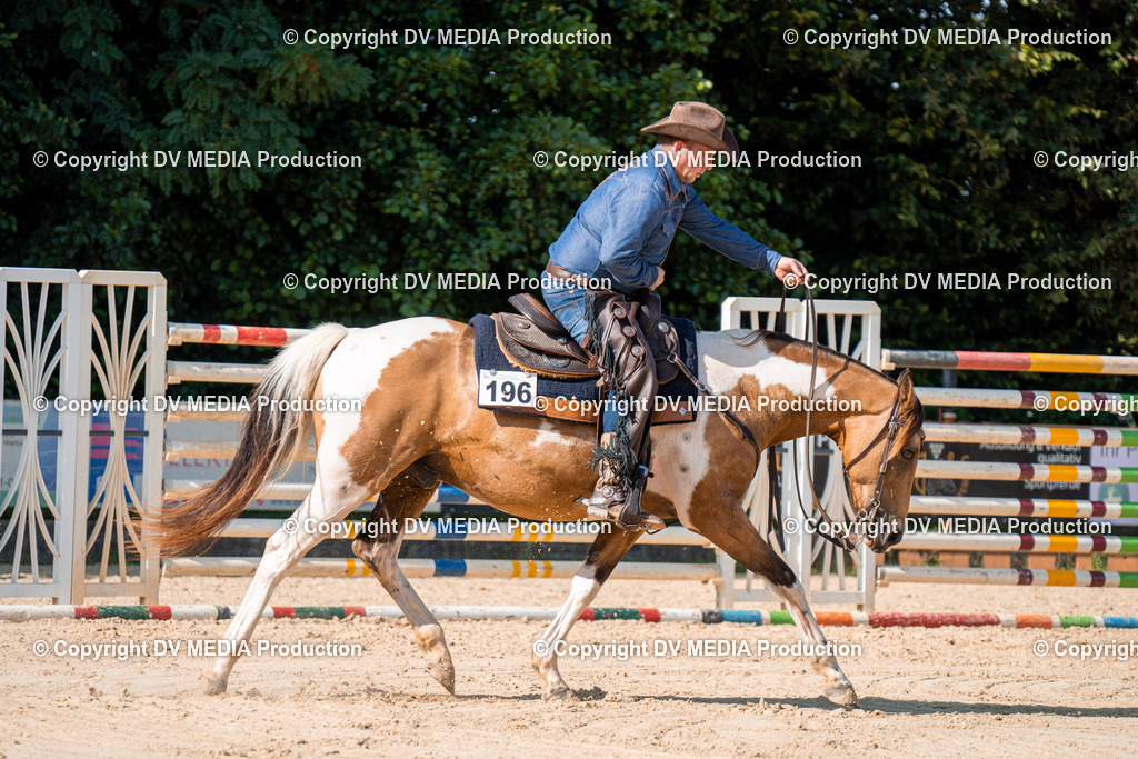 ZH100721 | dv-media-shop - Realisiert mit Pictrs.com