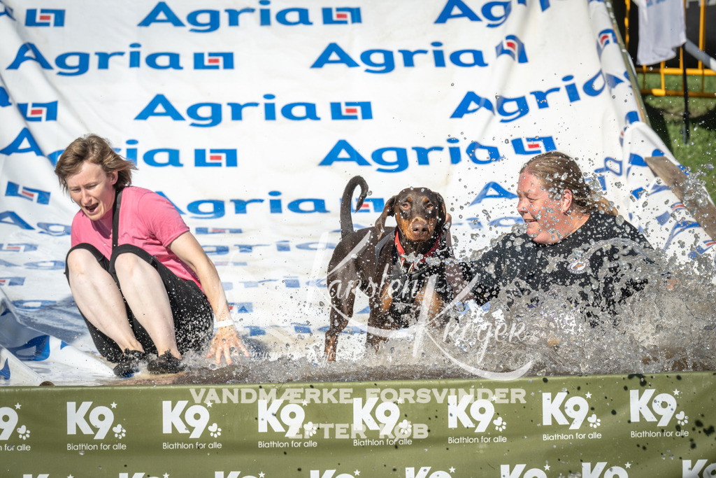 1629_ZZ90556 | kk-dogfotos