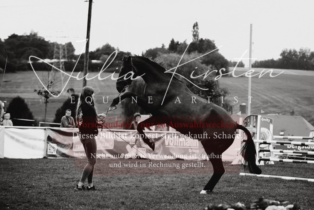 DSC_3956 | Pferde- und Turnierfotografie in Westsachsen. Pferdeportraits, Auftragszeichnungen und intuitive Kunst.