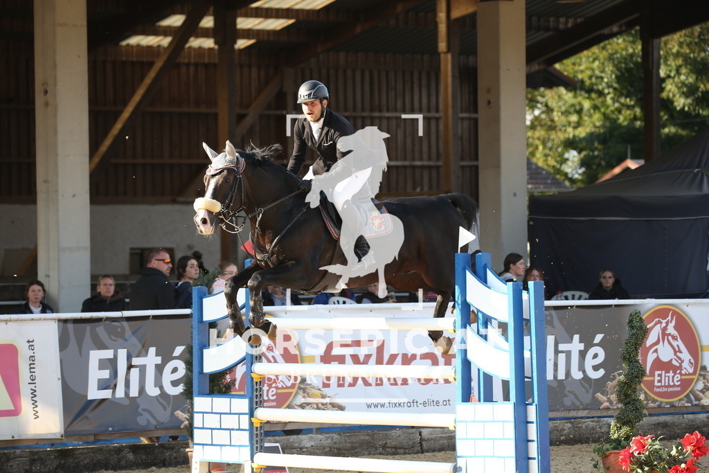 DL2Q5816 | Willkommen bei Brunnmayr - Design & Fotografie – Ihrem Spezialisten für Reitturniere und Pferdeveranstaltungen in Oberösterreich, Salzburg und Bayern! Seit über 17 Jahren sind wir leidenschaftlich dabei.