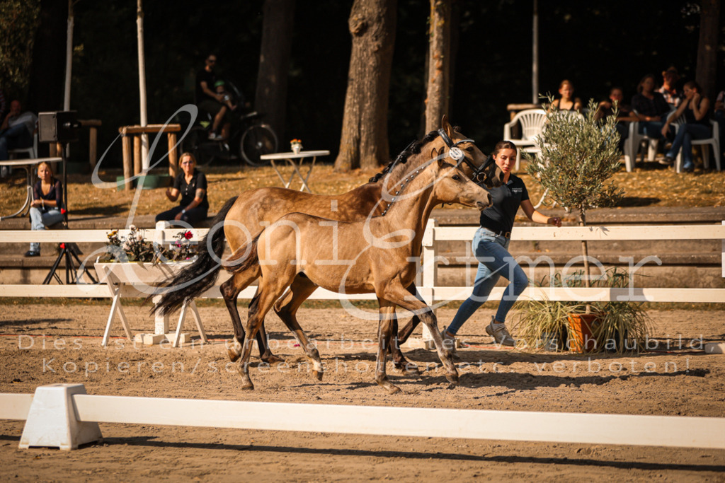 11.DoRP00007 | Leoni Ertmer Photography - Realisiert mit Pictrs.com