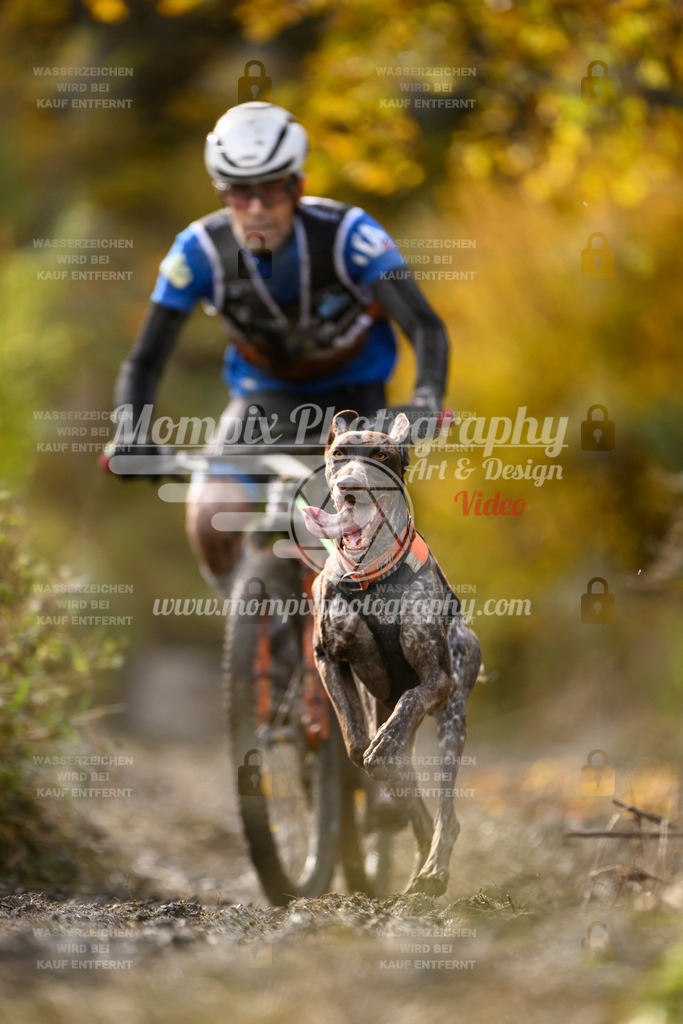 MompixPhotography_ICF_WC_2024_SA_Bike_-297 | PayLife