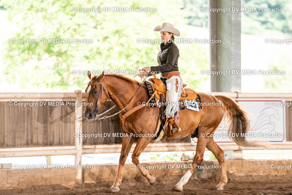 Erbach Tag 1-724 | dv-media-shop - Realisiert mit Pictrs.com