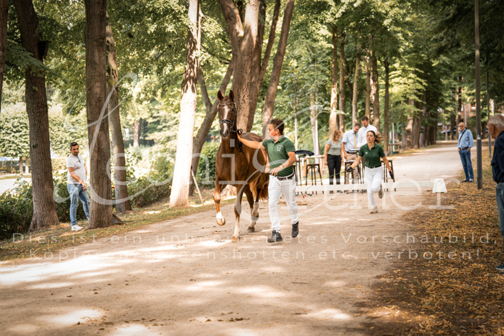 FrPfM00131 | Leoni Ertmer Photography - Realisiert mit Pictrs.com