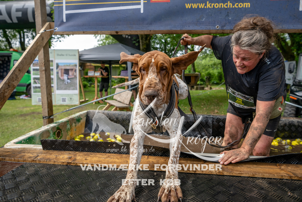1123_ZZ94035 | kk-dogfotos