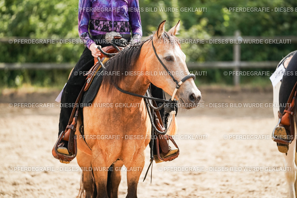 DSC05077 | Pferdegrafie