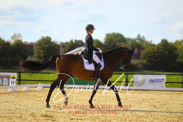 DKP45549 | Turniersportfotografie; Pferdefotografie; Dressurfotografie