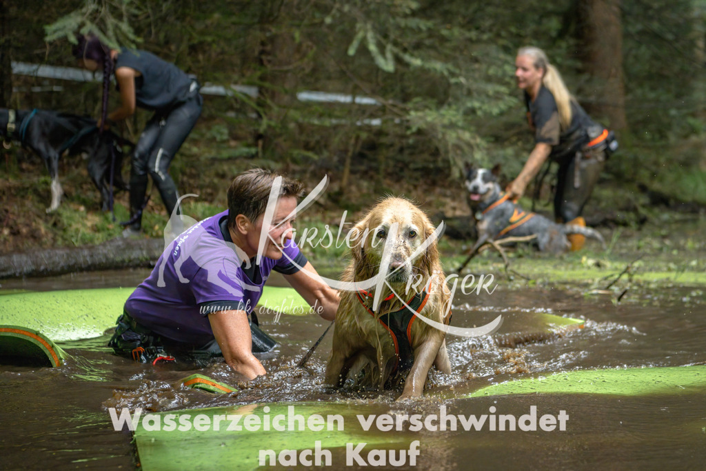 1529_ZZ90914-Bearbeitet | kk-dogfotos