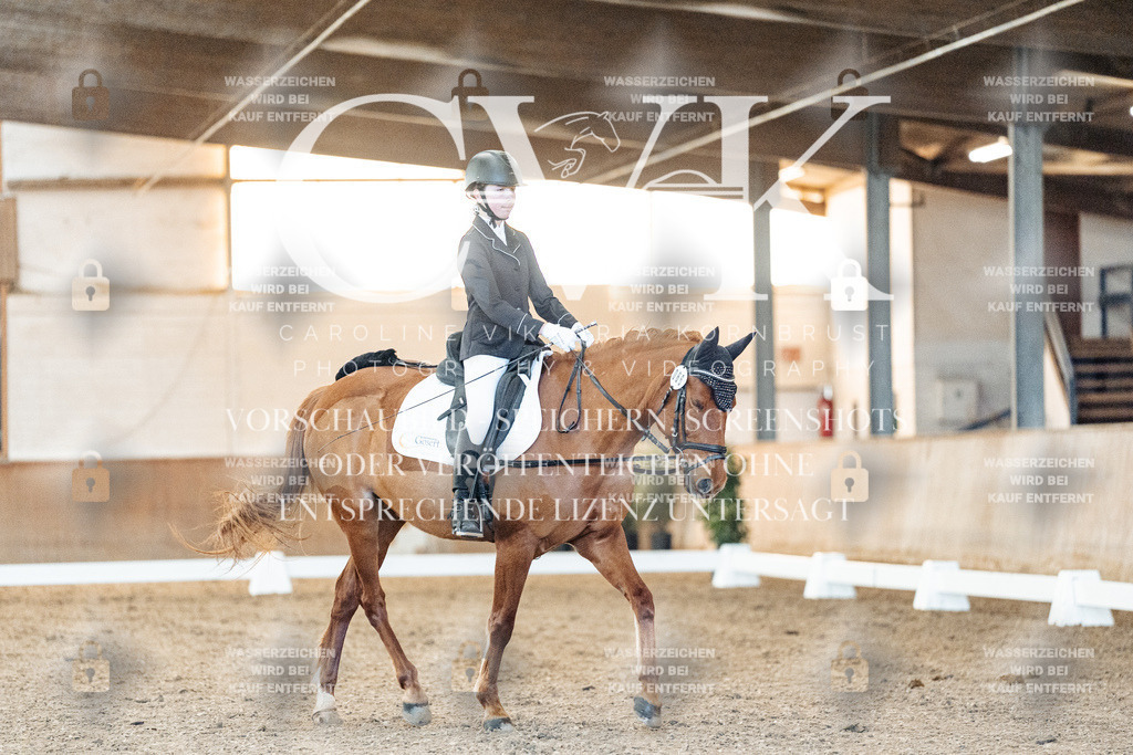 CK906561 | Turnierfotografie Pferdefotografie Trier Rheinland-Pfalz Pferdesport Reitsport Tierfotografie Sportfotografie Pferdevideo Pferdevideografie Equestrianvideography equestrianphotography  - Realized with Pictrs.com