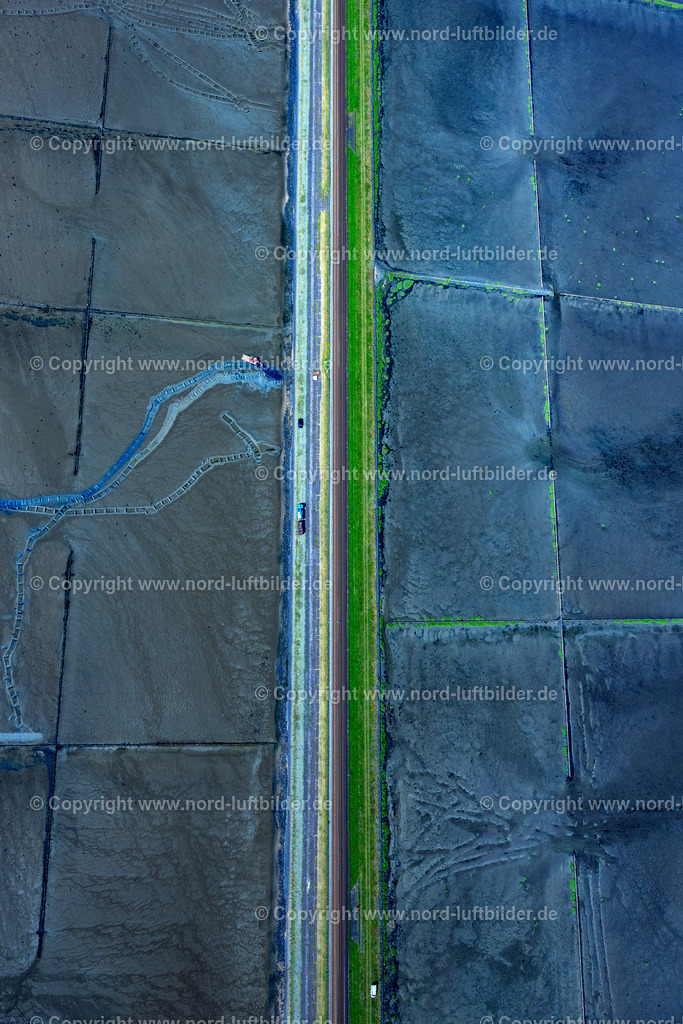 Sylt_Hindenburgdamm_ELS_8775130825 | SYLT 21.06.2025 Wattenmeer der Nordsee- Küste am Hindenburgdamm in Sylt im Bundesland Schleswig-Holstein. // Wadden Sea of North Sea Coast on Hindenburgdamm in Sylt in the state Schleswig-Holstein. Foto: Martin Elsen