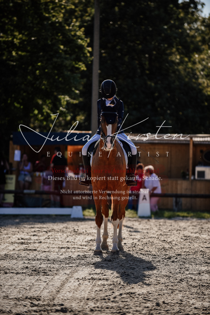 DSC_0504 | Pferde- und Turnierfotografie in Westsachsen. Pferdeportraits, Auftragszeichnungen und intuitive Kunst.