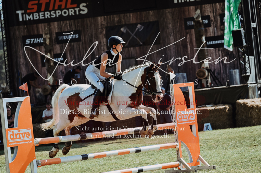 DSC_6063 | Pferde- und Turnierfotografie in Westsachsen. Pferdeportraits, Auftragszeichnungen und intuitive Kunst.