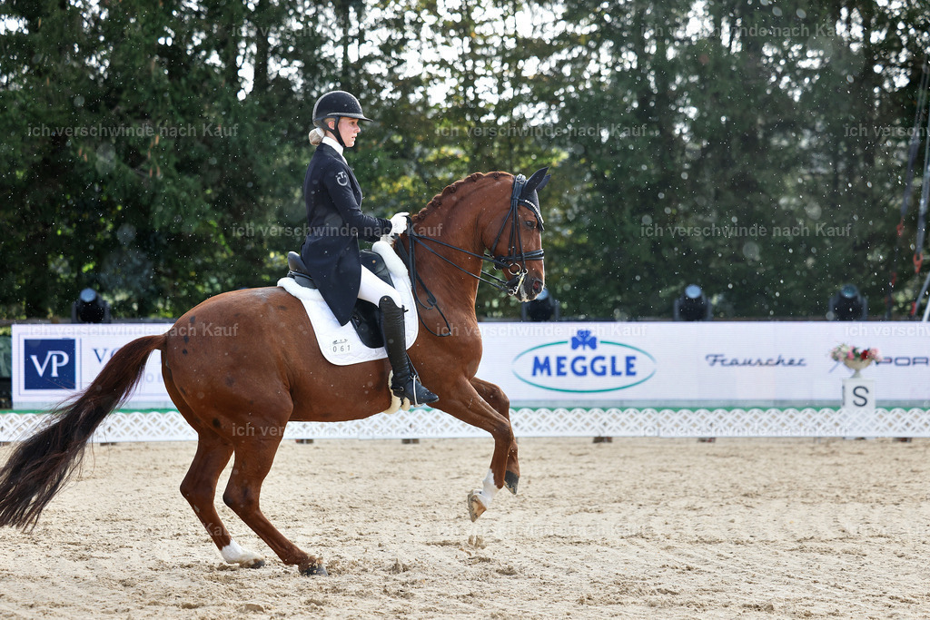 10-061-ST.GEORG SPECIAL -StoibPH-3152 | working equitationturnier fotograf videograf stoibphotography marixx film working equitation deutschland reitsport turnierfotografie eventfotografie equestrian events