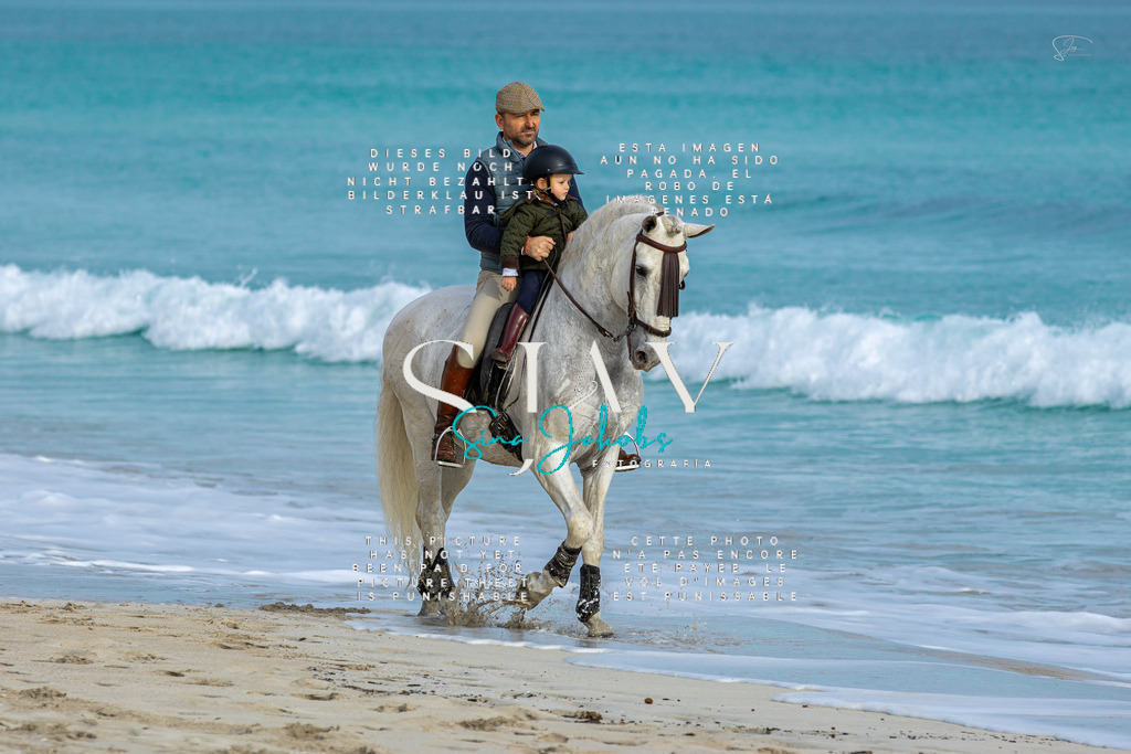 IMG_2512 | s-jay-photography - Realisiert mit Pictrs.com