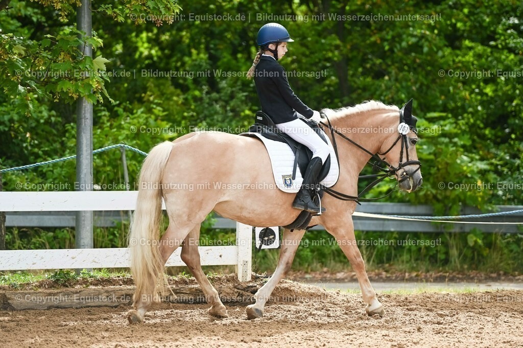20230716_10-2_Reiter-WB Schritt - Trab - Galopp_0027 | equistock