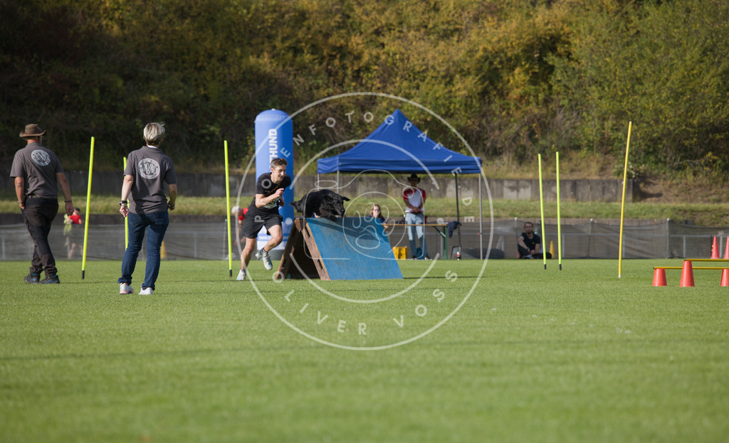 0L8A3939 | Hundefotografie, Tierfotograf, Pfotenfotografie, Fotoshooting Hund, Hunde Portrait, Hundesport, Hundeportraits, Heideshooting, Hunde, Sportfotograf, Hundefotograf, Turnierhundsport, THS,  - Realisiert mit Pictrs.com