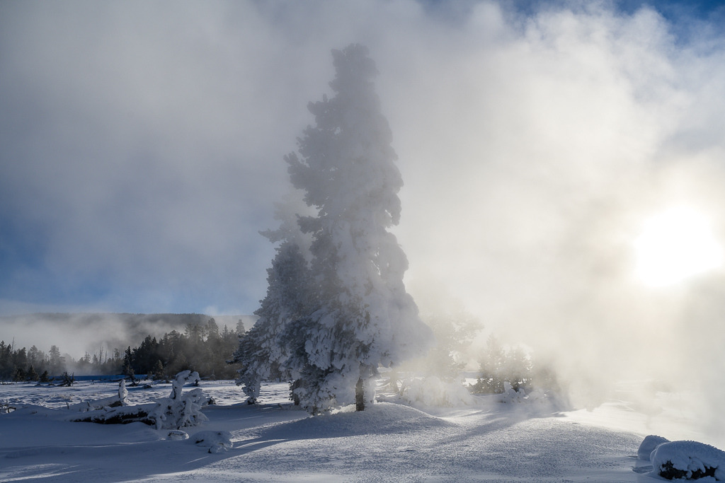 2024-142 | Sonnenaufgang am Firehole River. - Realisiert mit Pictrs.com