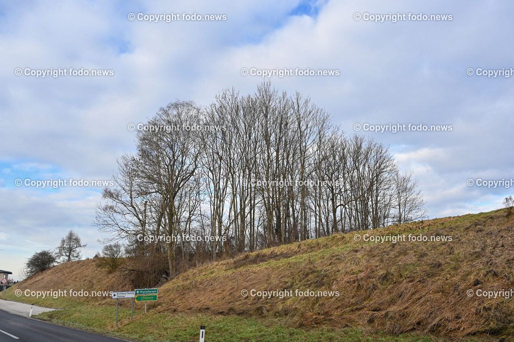 Donaulimes_ Naturdenkmal Kuhschellenboeschung_ 28.12.2022-5 | 28.12.2022, Wilhering, AUT, Donaulimes, im Bild Naturdenkmal Kuhschellenboeschung