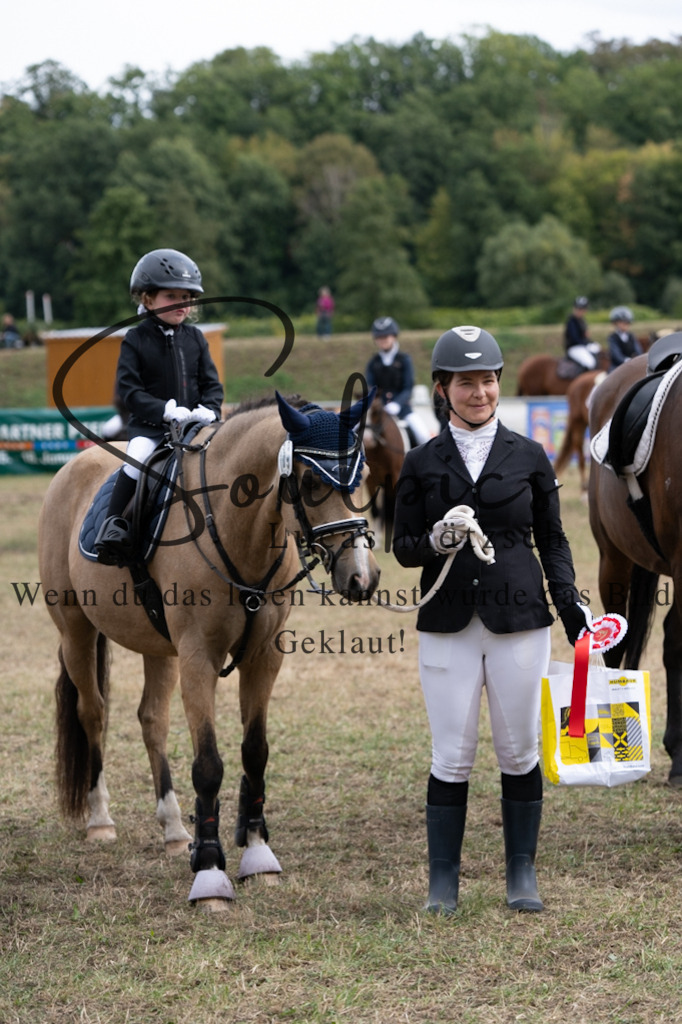 A7V01305 | Pferdefotograf