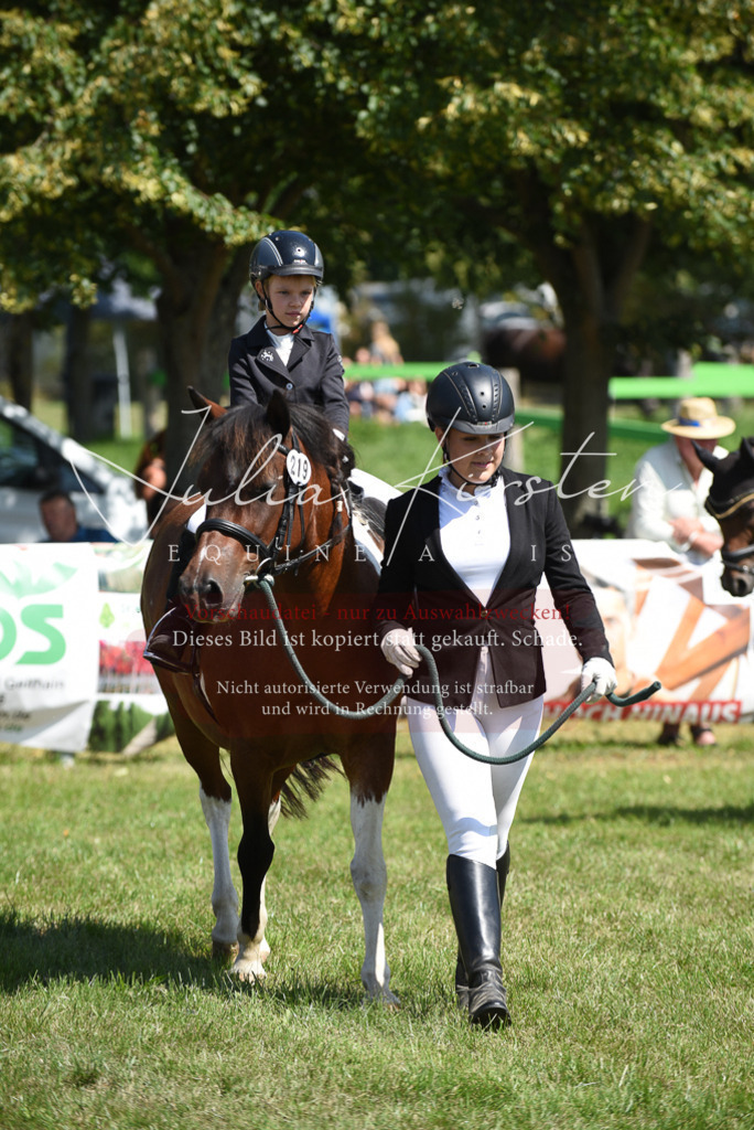DSC_9754 | Pferde- und Turnierfotografie in Westsachsen. Pferdeportraits, Auftragszeichnungen und intuitive Kunst.