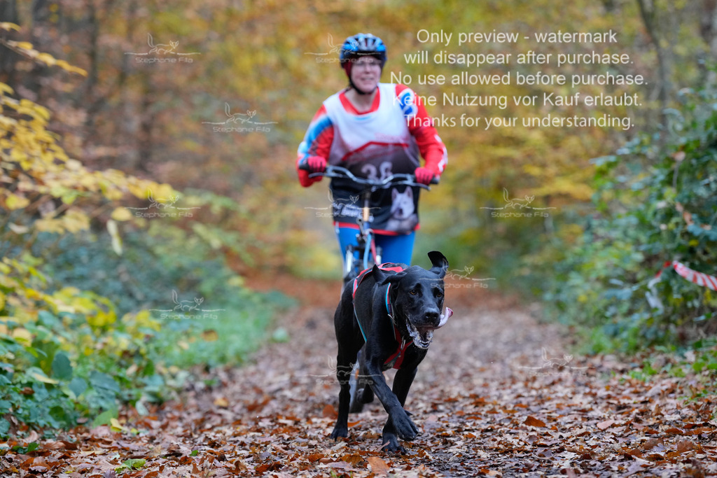 Scooter_So-69 | stephaniefillaphotographie - Realisiert mit Pictrs.com