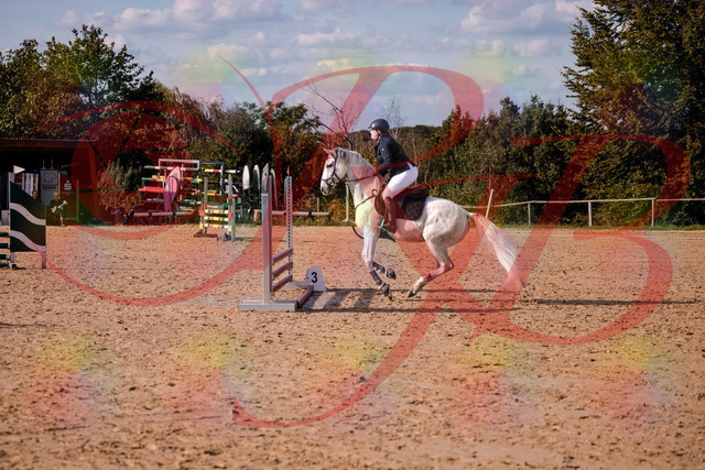 2026_10_03_Siefer-Hof_153935_Z81_54729538 | Professionelle Reitsport-, Turnier- und Eventfotografie von Robert Broda. Galerien mit ausgewählten und bearbeiteten Bildern direkt online ansehen und bestellen.