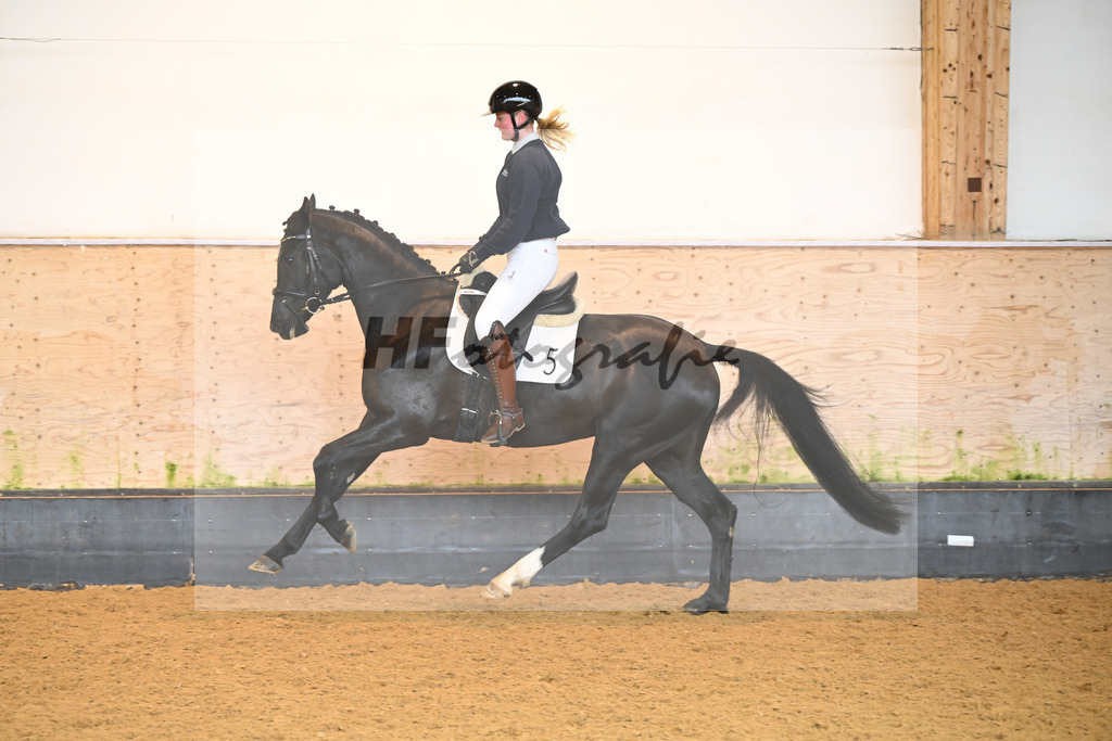 Kat-Nr. 5 Corwina US_Stahl_6222072 | hf-fotografie - Realisiert mit Pictrs.com