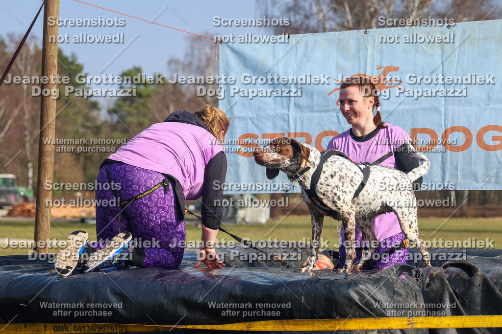 Dog Paparazzi - Strongdog North Mrz26-2674 | Dog Paparazzi Jeanette Grottendiek Fotografie & Videografie - Realisiert mit Pictrs.com