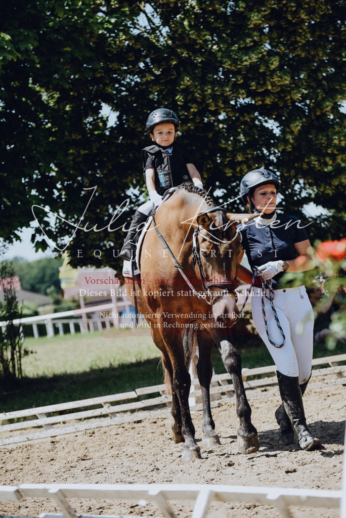 DSC_2516 | Pferde- und Turnierfotografie in Westsachsen. Pferdeportraits, Auftragszeichnungen und intuitive Kunst.