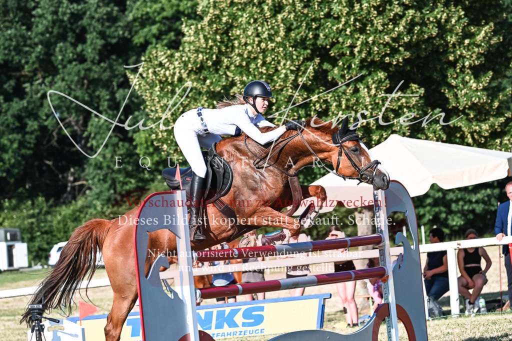 DSC_2773 | Pferde- und Turnierfotografie in Westsachsen. Pferdeportraits, Auftragszeichnungen und intuitive Kunst.