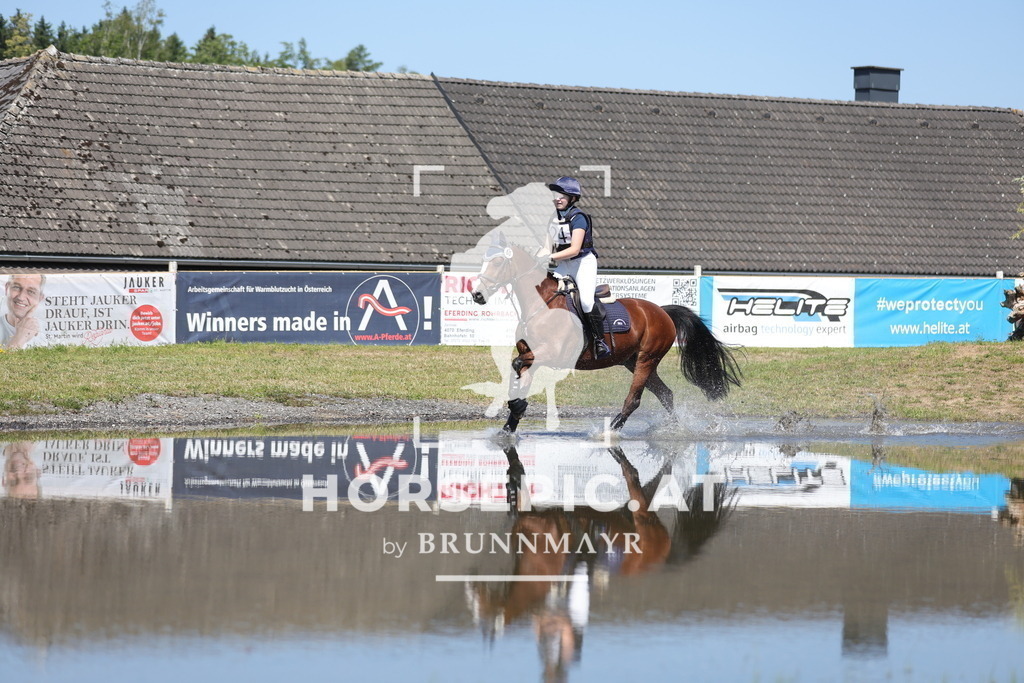 0P6A3483 | Willkommen bei Brunnmayr - Design & Fotografie – Ihrem Spezialisten für Reitturniere und Pferdeveranstaltungen in Oberösterreich, Salzburg und Bayern! Seit über 17 Jahren sind wir leidenschaftlich dabei.