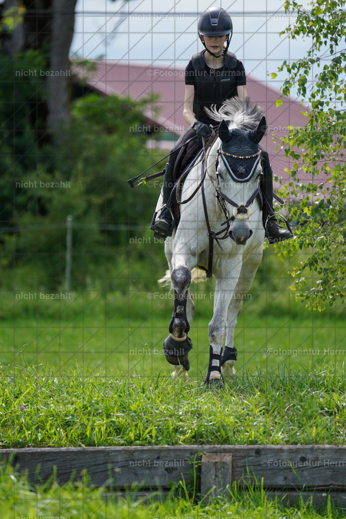 20240622-FAH07978 | Turnierfotografen Bayern, Reitsportbilder aus dem Geländekurs mit Felix Etzel auf dem Gut Waitzacker 2024