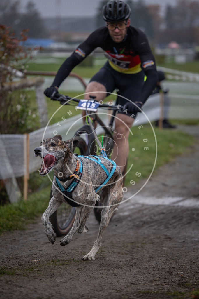 CaniXpix_0L8A1046 | Hundefotografie, Tierfotograf, Pfotenfotografie, Fotoshooting Hund, Hunde Portrait, Hundesport, Hundeportraits, Heideshooting, Hunde, Sportfotograf, Hundefotograf, Turnierhundsport, THS,  - Realisiert mit Pictrs.com