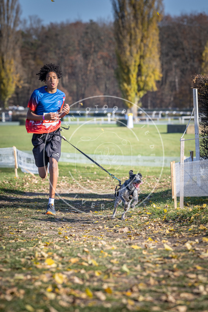 CaniXpix_DV3A8998 | Hundefotografie, Tierfotograf, Pfotenfotografie, Fotoshooting Hund, Hunde Portrait, Hundesport, Hundeportraits, Heideshooting, Hunde, Sportfotograf, Hundefotograf, Turnierhundsport, THS,  - Realisiert mit Pictrs.com