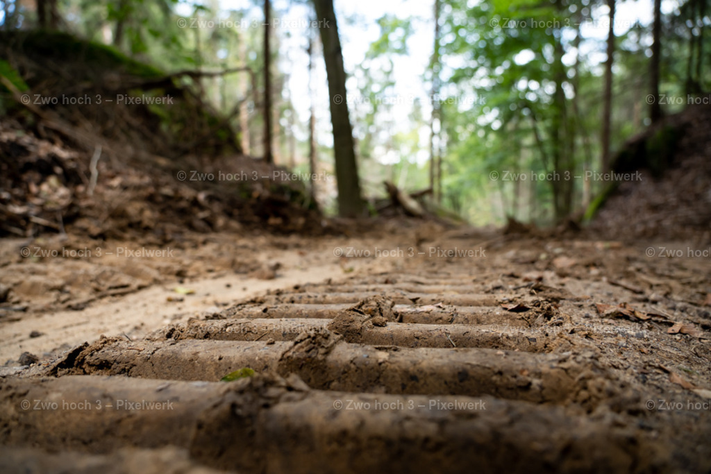 Rosssteig_Nahe_Altes_Zeughaus_Waldweg_Waldarbeit_Sand | 2022-08-30_Waldbrandgebiete_1 - Realisiert mit Pictrs.com