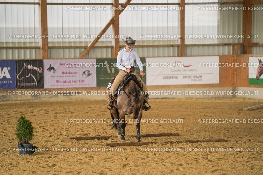 DSC02350 | Pferdegrafie